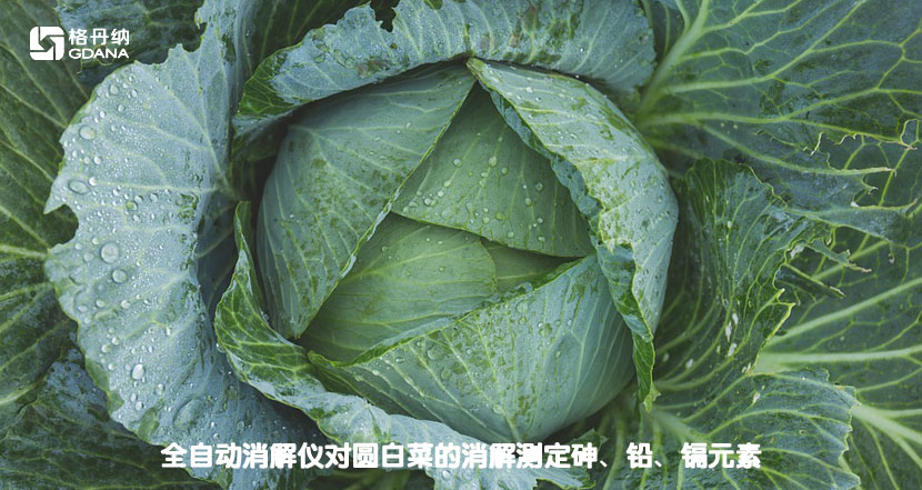 全自動消解儀對圓白菜的消解測定砷、鉛、鎘元素